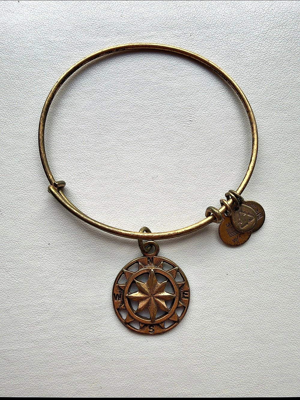 Alex and Ani Compass Charm Bangle in Brown